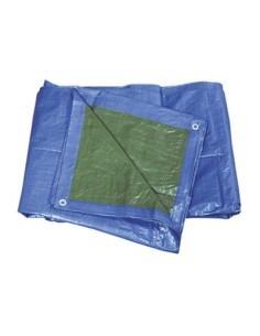 TOLDO AZUL 2X3  30800 2