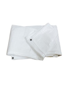 TOLDO BLANCO 4X6 30822 2