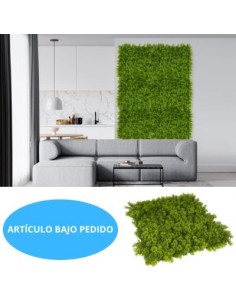 JARDIN VERTICAL 50X50 CM SILVESTRE(PACK-4UND) 2