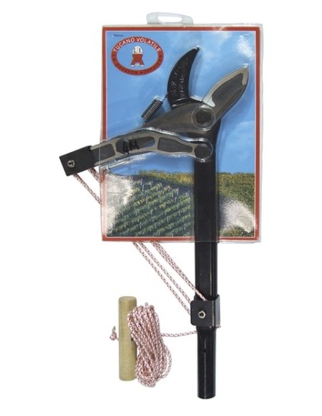 TUCANO PARA PERTIGA  32054